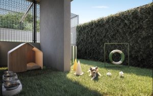 005_WGB_Betton_Pet_Place_Cam01_EF