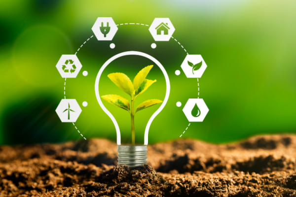 Inovacao_sustentavel-768x576